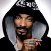 snoop-dogg-gets-probation-on-weapons_134025_08082008